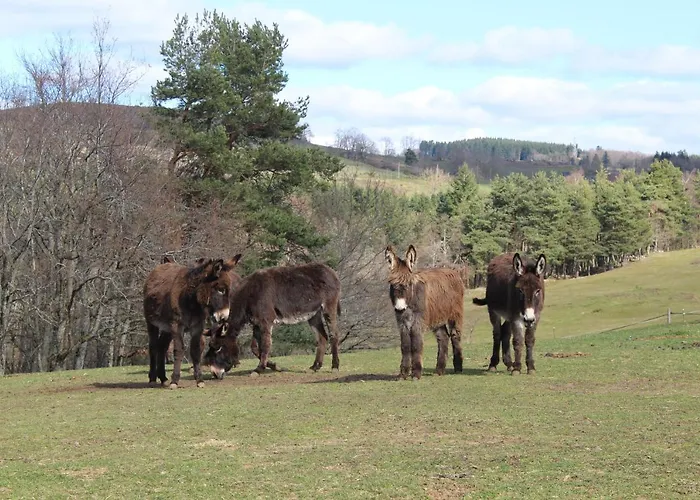 Gite A La Ferme